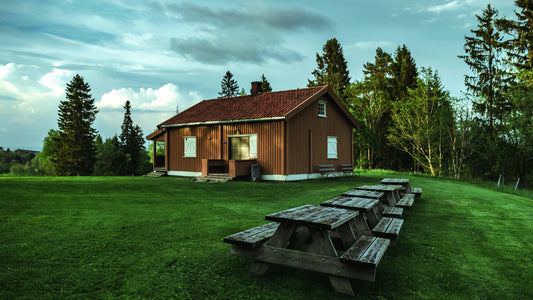 Feng Shui Risk: Why Your Home's Energy May Be Draining Your Luck