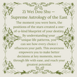 Zi Wei Dou Shu — Supreme Astrology of the East.