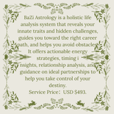 BaZi Destiny Codes · Luxury Personalized Guidance