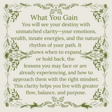 Master Life Chart Reading